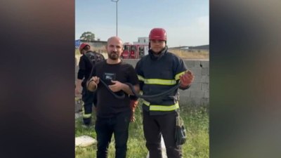 Osmaniye'de bahçeye giren yılanla hatıra fotoğrafı çektirdiler