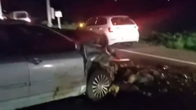 Iğdır'da otomobil çarpan 25 koyun telef oldu