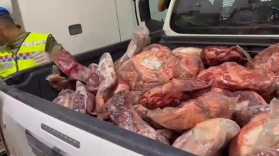 1,5 ton gümrük kaçağı bozuk et ele geçirildi