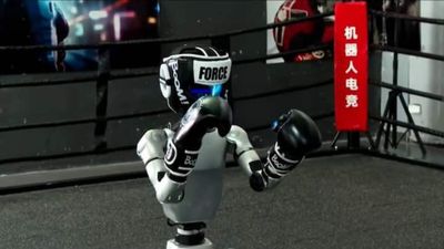 Çin'de dünyanın ilk robot boks maçı yapıldı