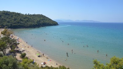 Aydın'da yaban domuzları tatilcinin çantasını kaçırdı