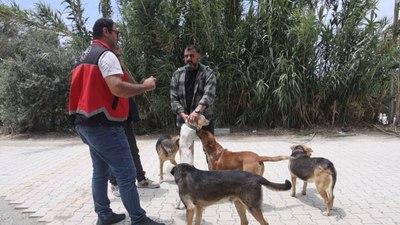 Hatay’da kuduz alarmı: 4 mahalle karantinaya alındı