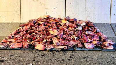 Şanlıurfa'da 1 ton 700 kilo bozulmuş et ele geçirildi