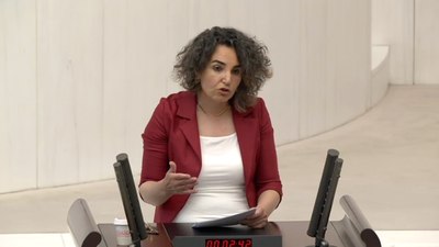 DEM Partili Çiçek Otlu: Trans kadınların hormon ilaçları ücretsiz olsun