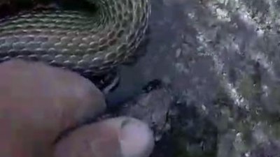 Sivas'ta eliyle tuttuğu yılanla sohbet edip, su içirdi