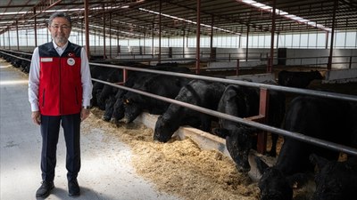 İbrahim Yumaklı, yeni hayvancılık desteklerini açıkladı