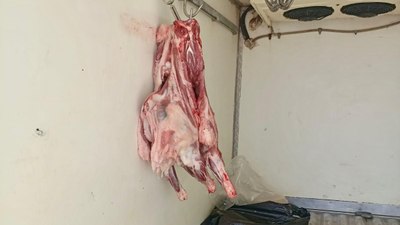 Hatay'da uygun olmayan şartlarda taşınan 34 kilo et imha edildi