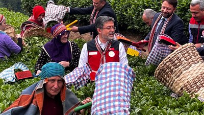 "İklim değişikliği çayı etkilemedi"