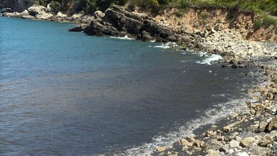 Amasra Sahili'nde kirlilik alarmı