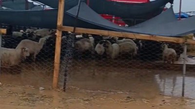 İzmir'de sağanak: Kurban pazarını su bastı