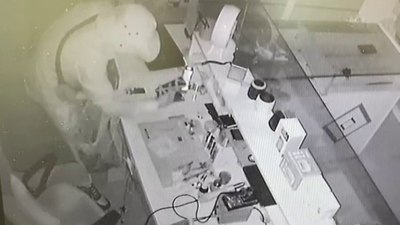 Karaman'da kovboy şapkalı hırsız, tutuklandı