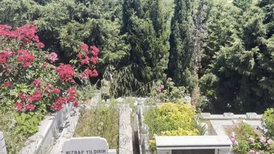 İstanbul'da mezarlıkta bebek cesedi bulundu