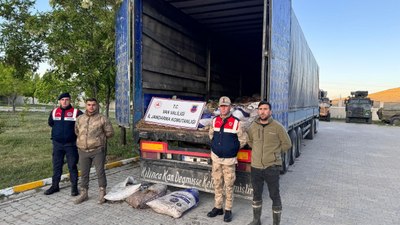 Van'da 22 ton 475 kilogram kaçak avlanmış balık ele geçirild
