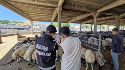 Diyarbakır'da, polisten kurban satıcılarına 'sahte para' uyarısı