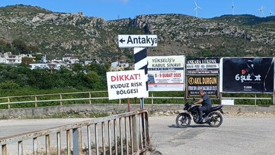 Hatay'da kuduz alarmı: Başıboş köpekler toplatılıyor