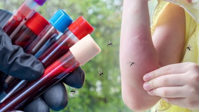 Sivrisinekler bu kan grubuna bayılıyor: İşte sebebi