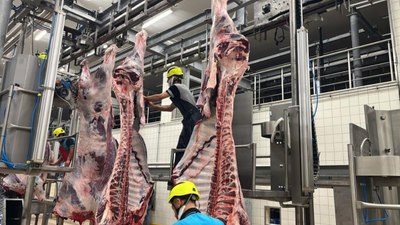 Kurban Bayramı'nda kist hidatik tehlikesi: Sakatatları rastgele atmayın