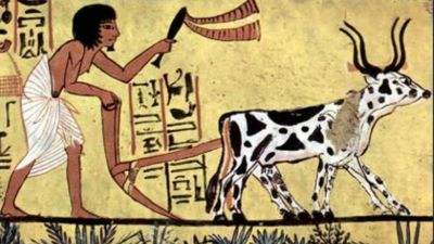 Kurban karşıtlığına kılıf! Vejetaryen ve vegan: Köhne bir inanç