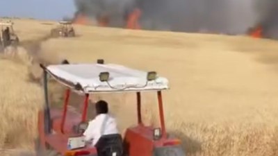 Şanlıurfa'da buğday tarlası küle döndü