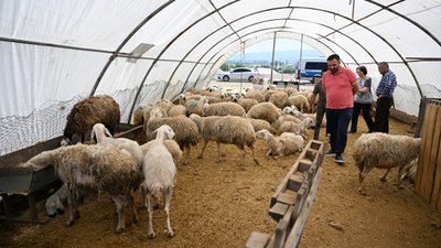 Ankara'da bayramın ikinci gününde kurban pazarlarındaki yoğunluk sürüyor