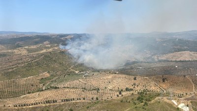 İzmir Seferihisar'da orman yangını