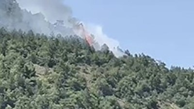 Ankara'da orman yangını