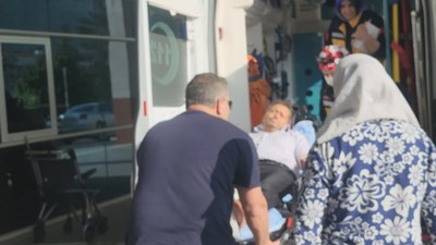Konya'da pikniğe giden adamı yılan ısırdı
