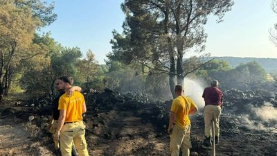 Yaptığı mangal ormanı yaktı: Tutuklandı