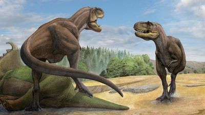 Bilim insanları, yeni bir dinozor türü keşfetti: Bildiklerimizi değiştirebilir