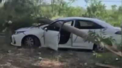 Muğla'da radar aracının üzerine ağaç devrildi