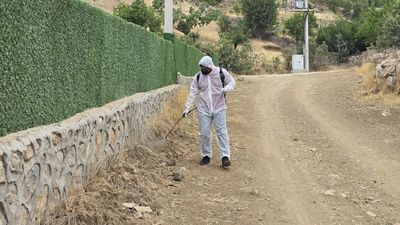 Şırnak'ta çekirgelere karşı 700 dekarlık alanda ilaçlama