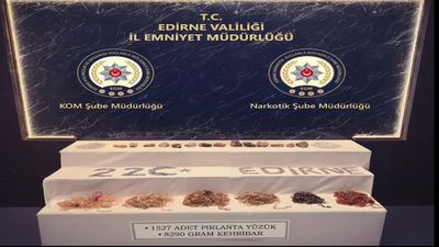 Edirne'de 50 milyon TL değerinde kaçakçılık operasyonu