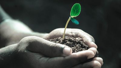 Zamansızlık, hayat ve seçimler üzerine şahane bir okuma: Gören Sen