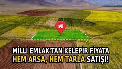 5 bin liraya arsa, 7 bin liraya tarla müjdesi: Kapış kapış gidecek
