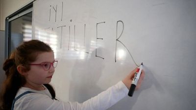 Yaklaşık 20 milyon öğrenci yarın karne alacak