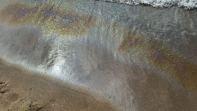 Bartın'da deniz suyunun rengi değişince sahil boşaltıldı