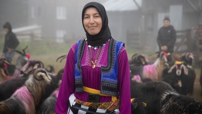 Sakarya'da 118 yıllık gelenek: Gelin gibi süslenen hayvanları ile göçe başladılar