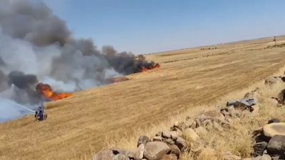 Şanlıurfa'da buğday tarlasında yangın