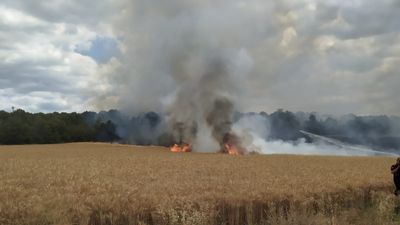 Bursa'da 30 dönümlük buğday tarlası küle döndü