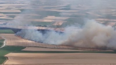 Trakya'daki yangınlarda 2 bin 750 dekar ekili alan zarar gördü