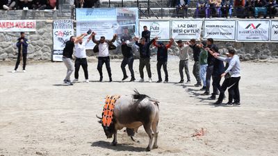 Rize'de Çamlıhemşin Ayder Kültür, Sanat ve Doğa Festivali