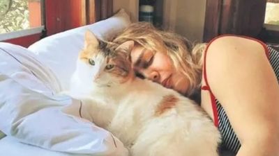 Sezen Aksu'nun acı günü! Kedisi Sütlü öldü