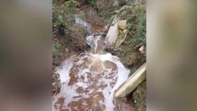 İstanbul Şile'de atık sular nedeniyle mahalleyi kötü kokular sardı