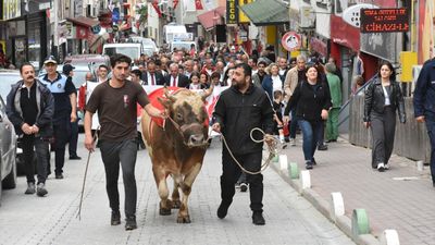 Artvin'de Kafkasör Festivali başladı