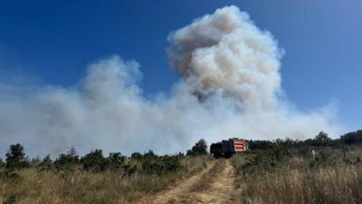 İstanbul Silivri'de ormanlık alanda yangın