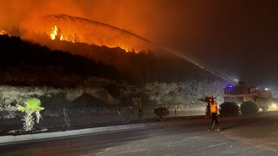 İzmir'deki yangınların NASA'dan görüntüsü