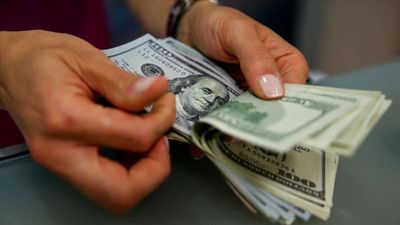 Reel efektif döviz kuru endeksi 1,19 puan azaldı