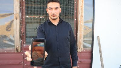 Hatay'da 4 ayaklı olarak yumurtadan çıkan güvercin yavrusu 2 gün yaşayabildi