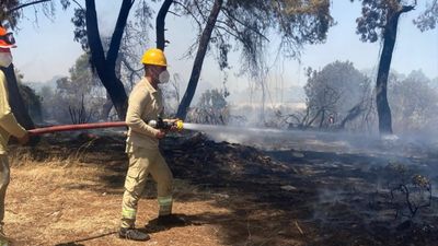 Antalya'daki orman yangını kontrol altında