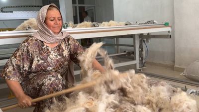 Şanlıurfa'da çöpe atılan yünleri topladı: Kendi atölyesini kurdu